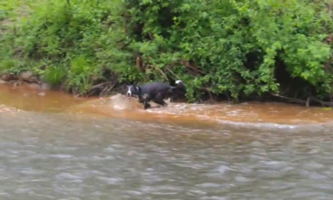 Playing in Water